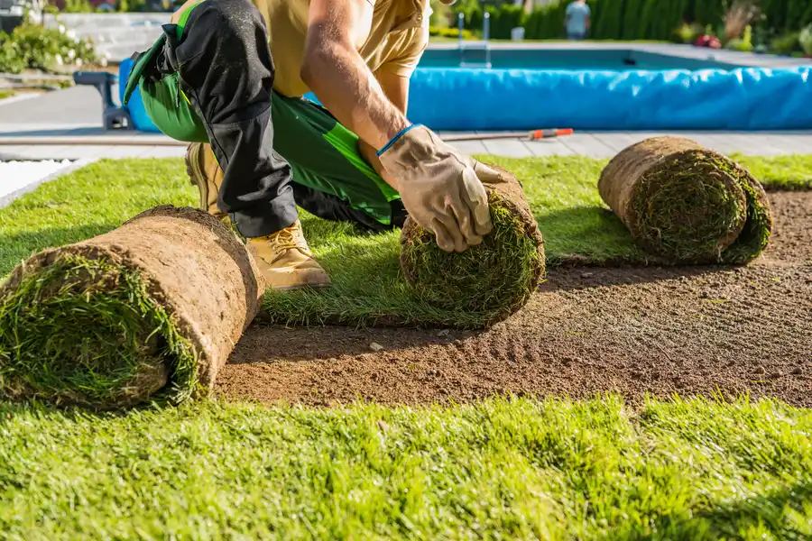 Artificial Grass Installation