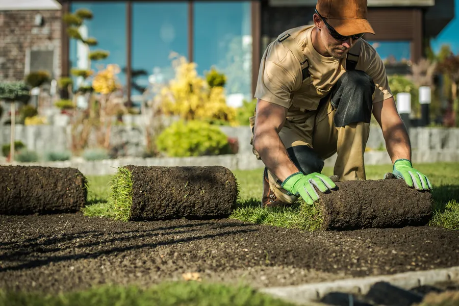Artificial Grass Installation
