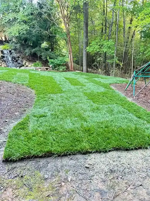 Artificial Grass Installation