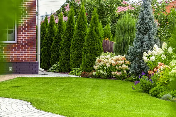 Garden Design