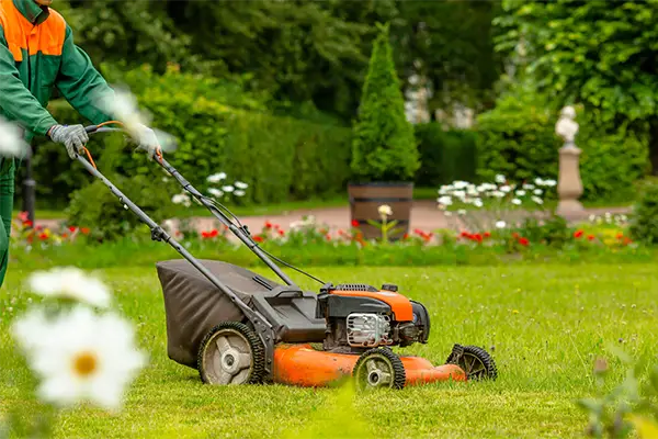 Landscaping Services